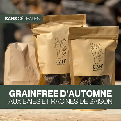 GrainFree d'Automne 🍂 Friandises naturelles pour chevaux 🧡 Recette de saison