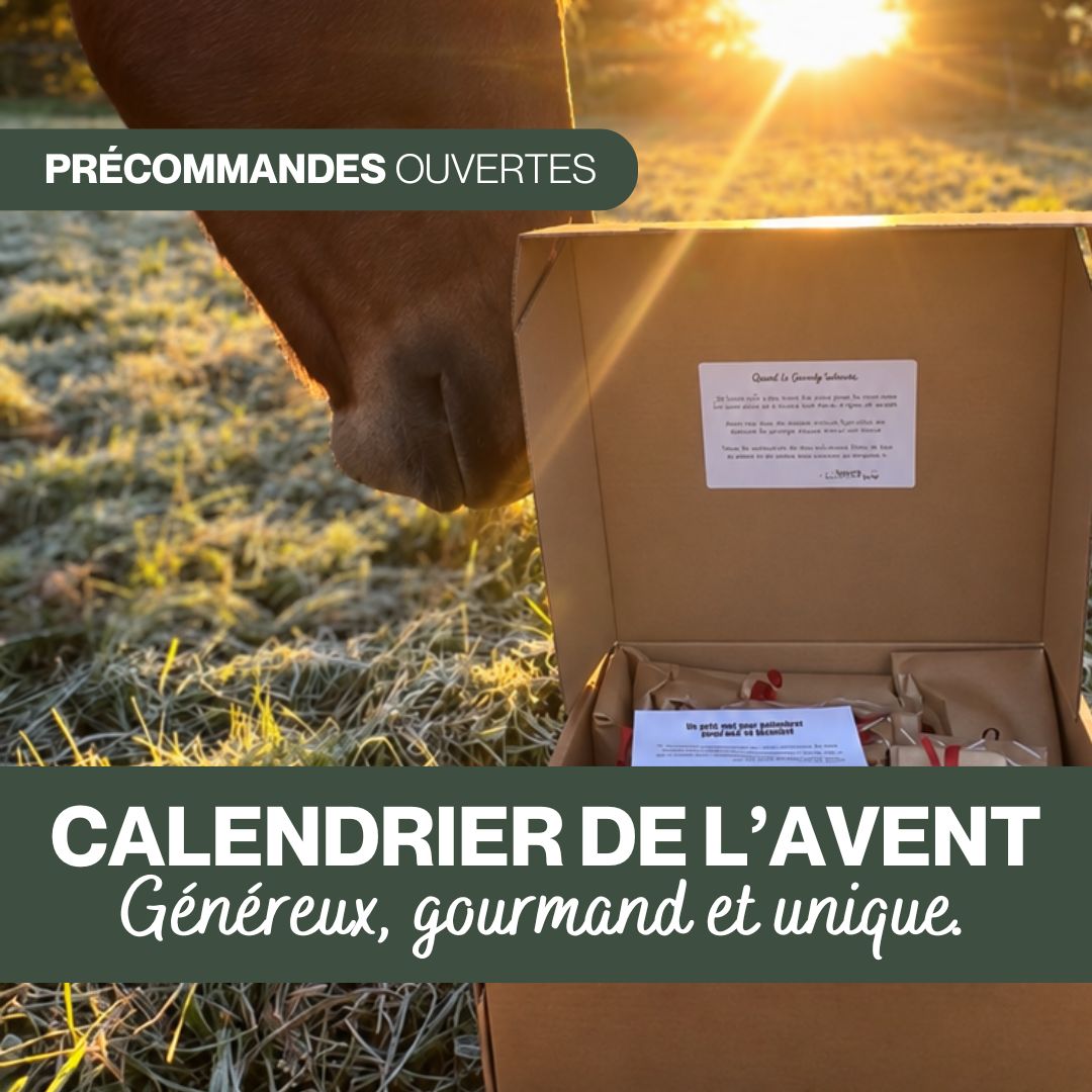 🎁 Calendrier de l'Avent pour chevaux