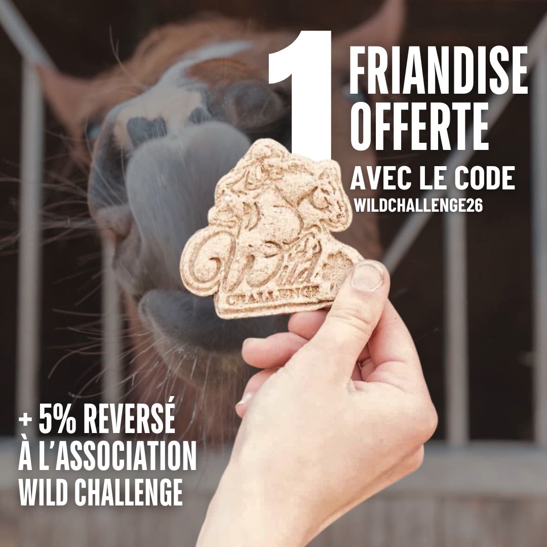 Candy'z Wild Challenge 🍀 Friandises naturelles pour chevaux  💚 Édition Spéciale