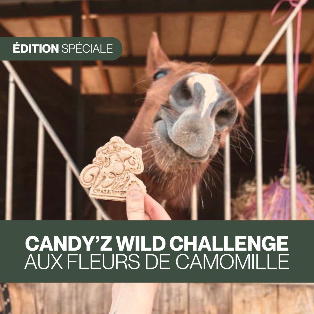 Candy'z Wild Challenge 🍀 Friandises naturelles pour chevaux  💚 Édition Spéciale
