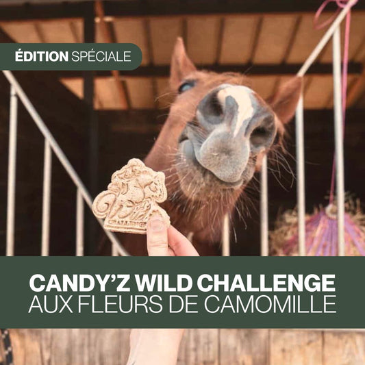 Candy'z Wild Challenge 🍀 Friandises naturelles pour chevaux  💚 Édition Spéciale