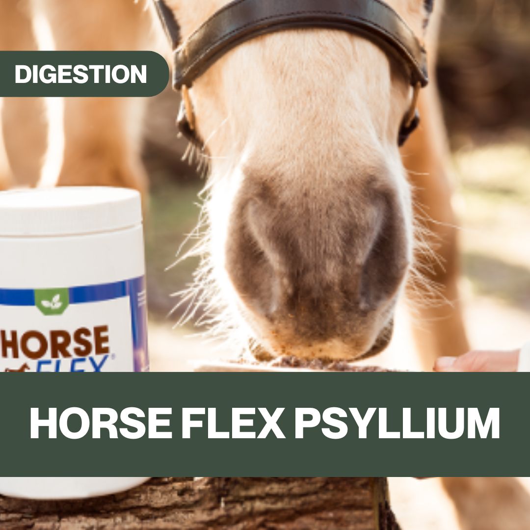 Psyllium