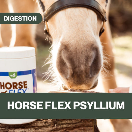 Psyllium