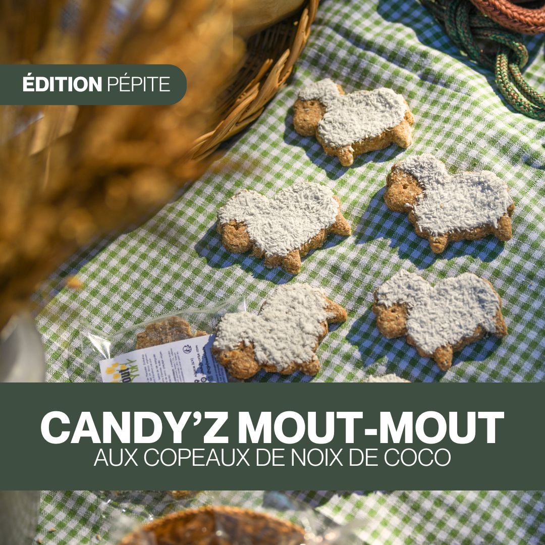 Duo de Candy'z Mout-Mout 🐑 Friandises naturelles pour chevaux  🌿 Édition Spéciale