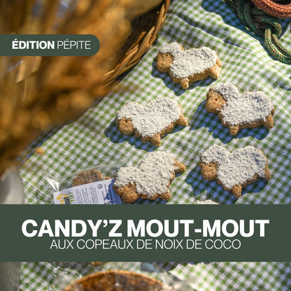 Duo de Candy'z Mout-Mout 🐑 Friandises naturelles pour chevaux  🌿 Édition Spéciale
