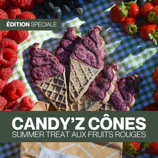 Candy'z Cônes Summer Treat 🍦Friandises naturelles 💛 Édition spéciale