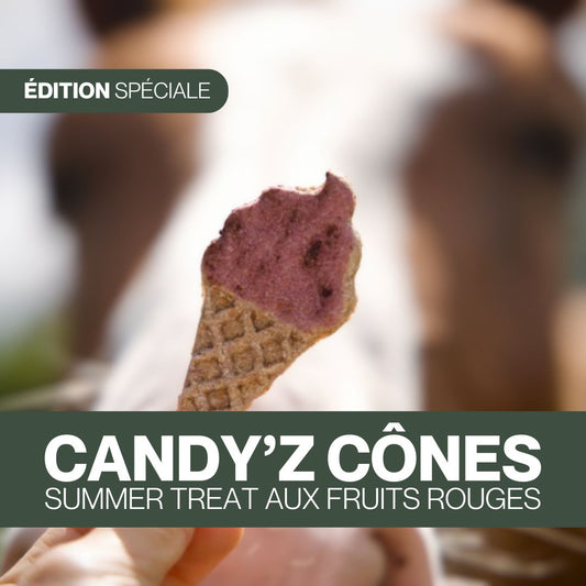 Candy'z Cônes Summer Treat 🍦Friandises naturelles 💛 Édition spéciale