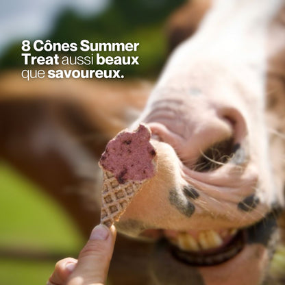 Candy'z Cônes Summer Treat 🍦Friandises naturelles 💛 Édition spéciale