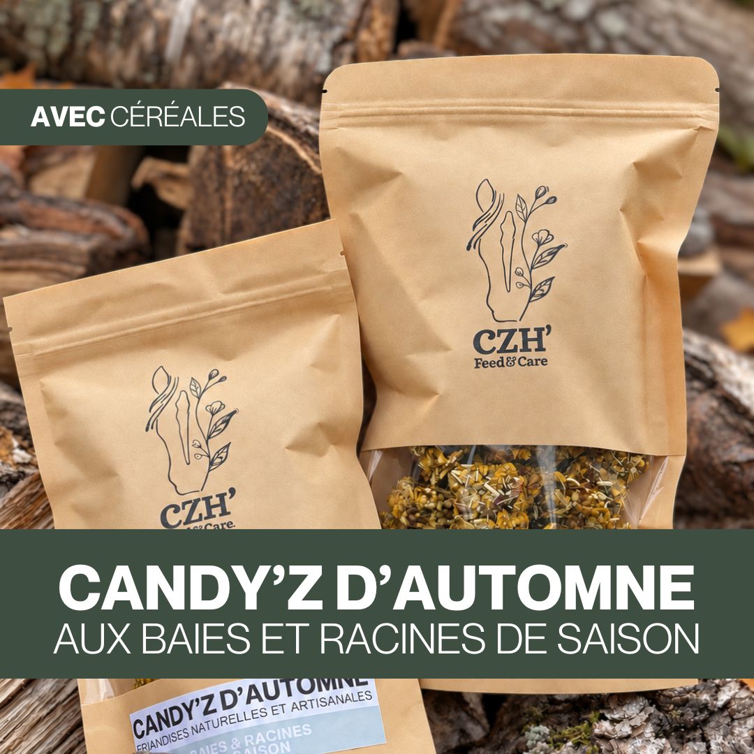 Candy’z d'Automne 🍂 Friandises naturelles pour chevaux 🧡 Recette de saison