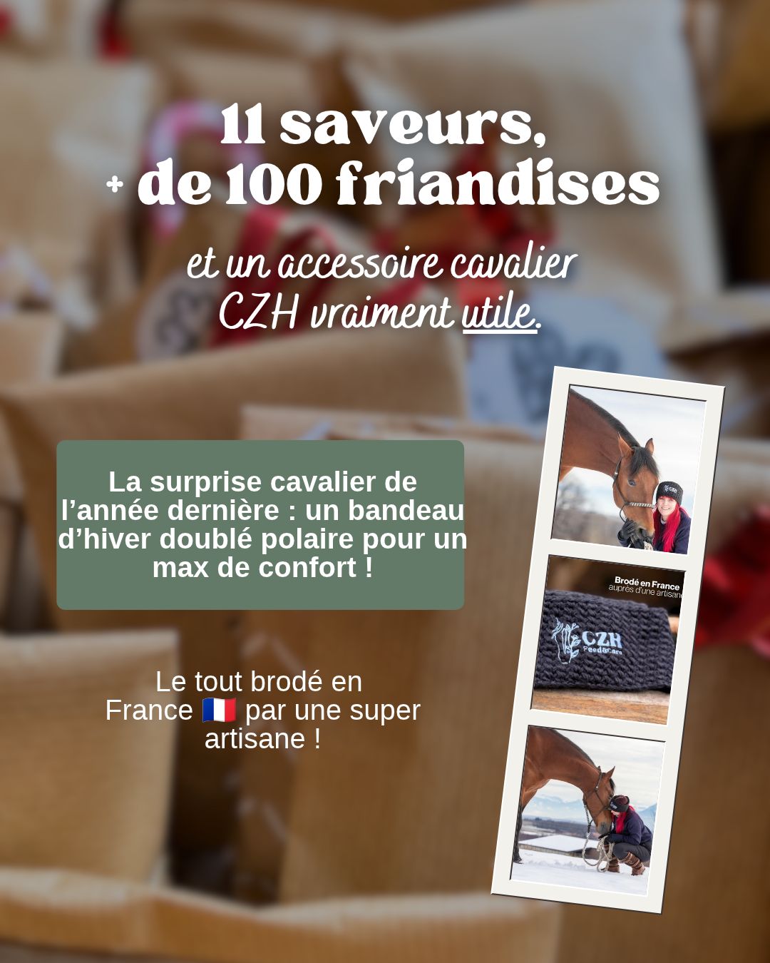 🎁 Calendrier de l'Avent pour chevaux