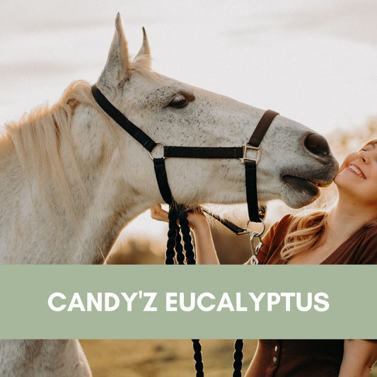 Candy'z Eucalyptus | Respiration 💨