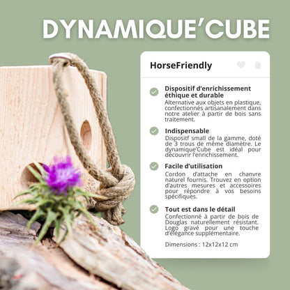 Dynamique'Cube