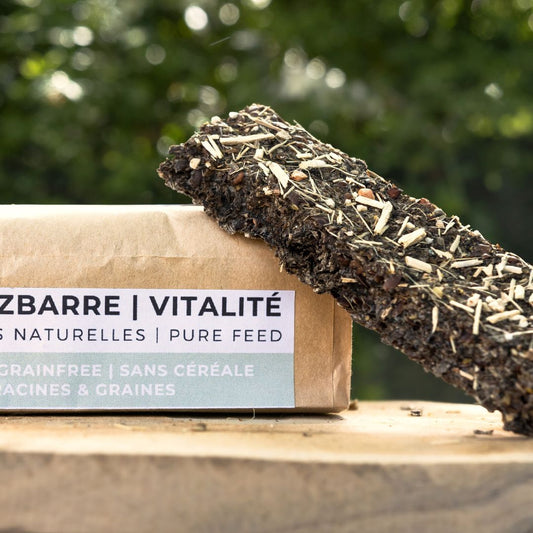 Candy'z Barre 💚 Friandises naturelles pour chevaux 🌿 Format XXL