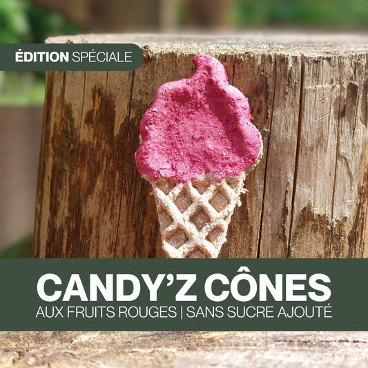 Candy'z Cônes | Fruits rouges