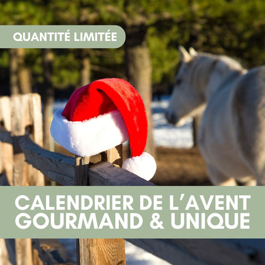 🎁 Calendrier de l'Avent | Candy'zLover