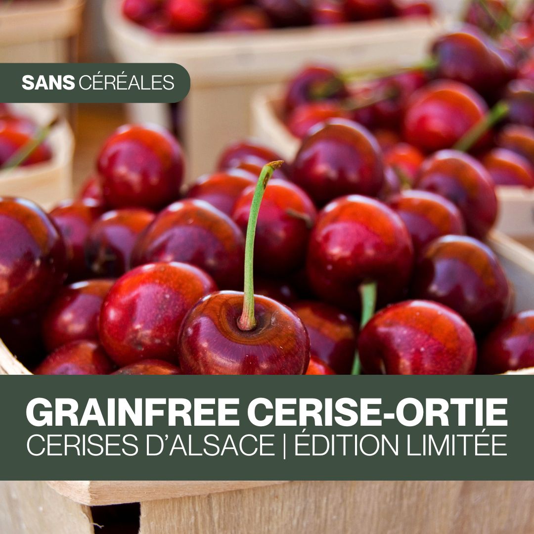 GrainFree Cerise-Ortie | Édition limitée  🍒