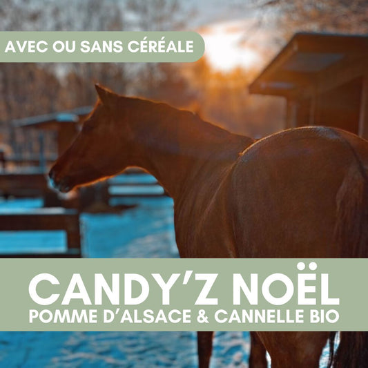 Candy'z Noël | Pomme-Cannelle