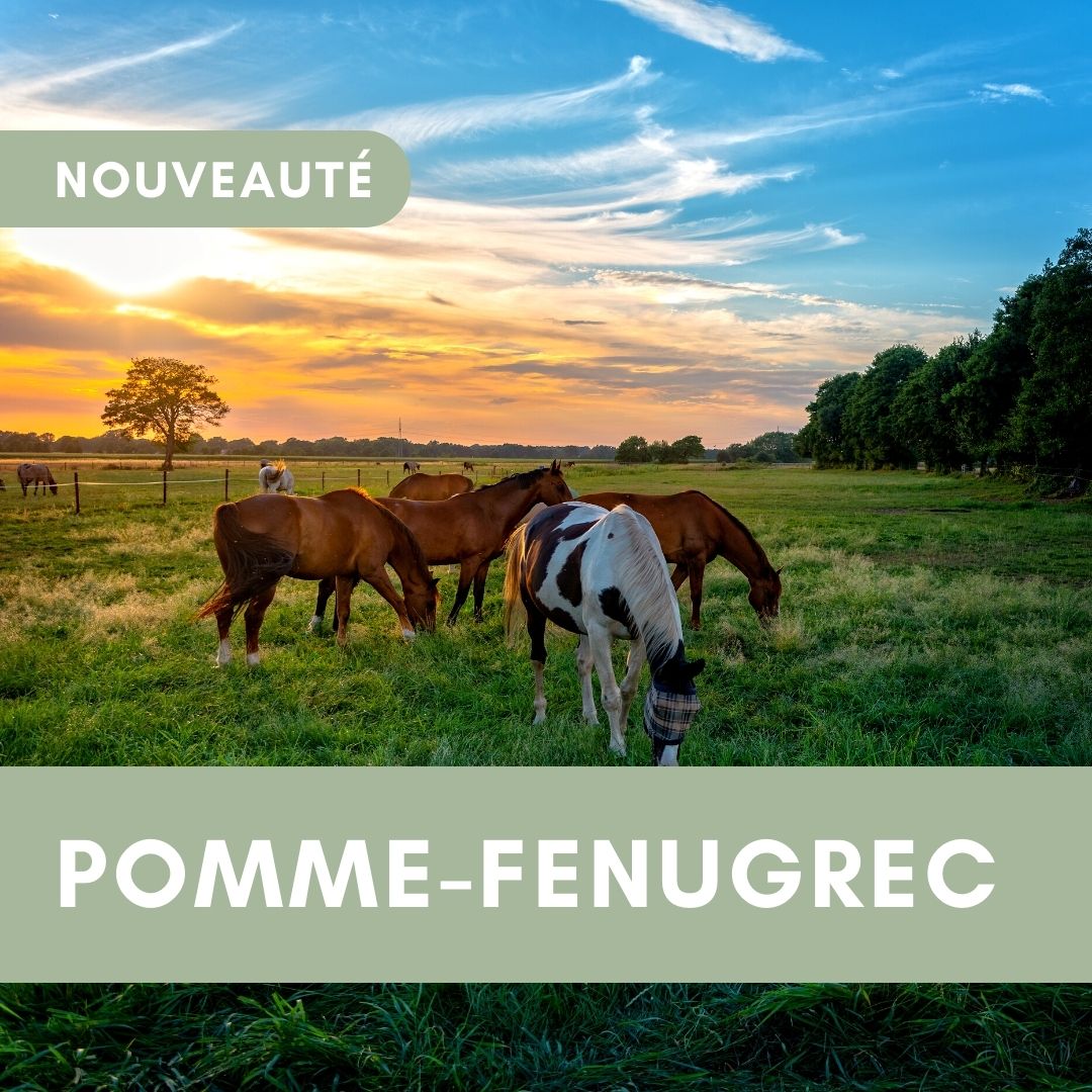 Pomme-Fenugrec | Candy'z