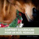 Charger l&#39;image dans la galerie, ✨ Coffret Gourmand

