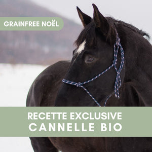🌿 GrainFree Noël | Recette exclusive