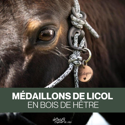 Médaillon de Licol