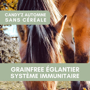 GrainFree Églantier (Cynorrhodon) | Sans Céréales