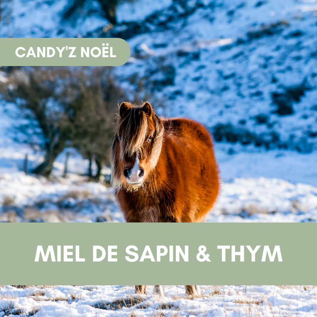 ❄ Candy'zNoël | Miel & Thym