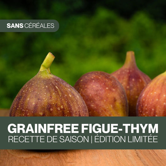 GrainFree Figue-Thym | Édition limitée 🌿
