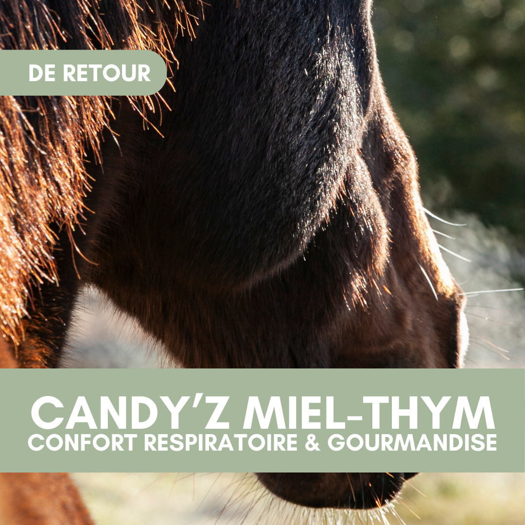 MIEL-THYM | CANDY'Z