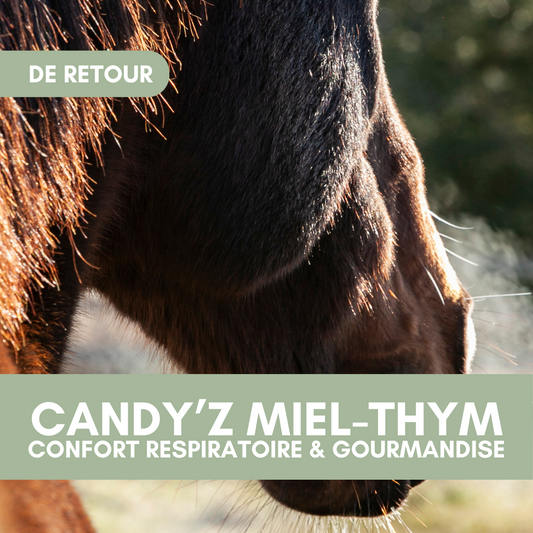 Candy'z Miel-Thym | Respiration 💨