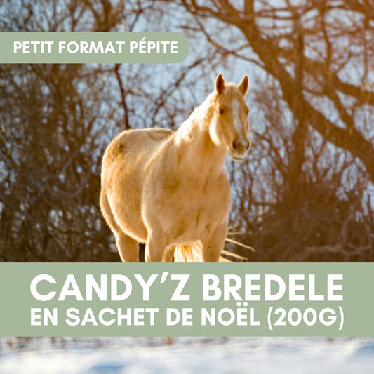 ❄ Candy'z Bredele