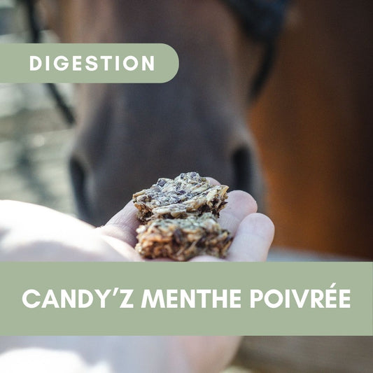 Candy'z Menthe Poivrée | Digestion 🍃
