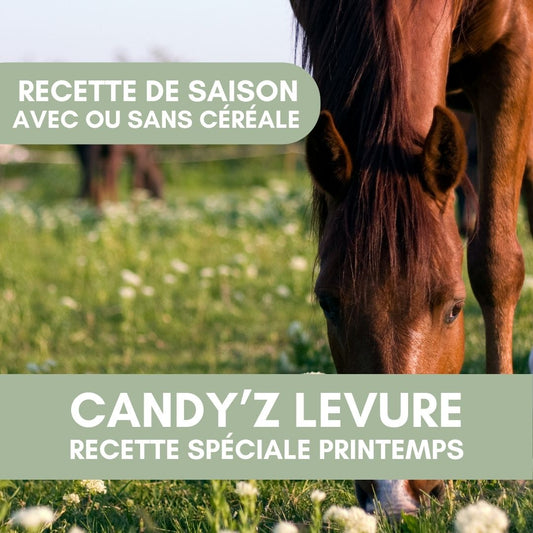 Candy'z Levure | Recette de saison