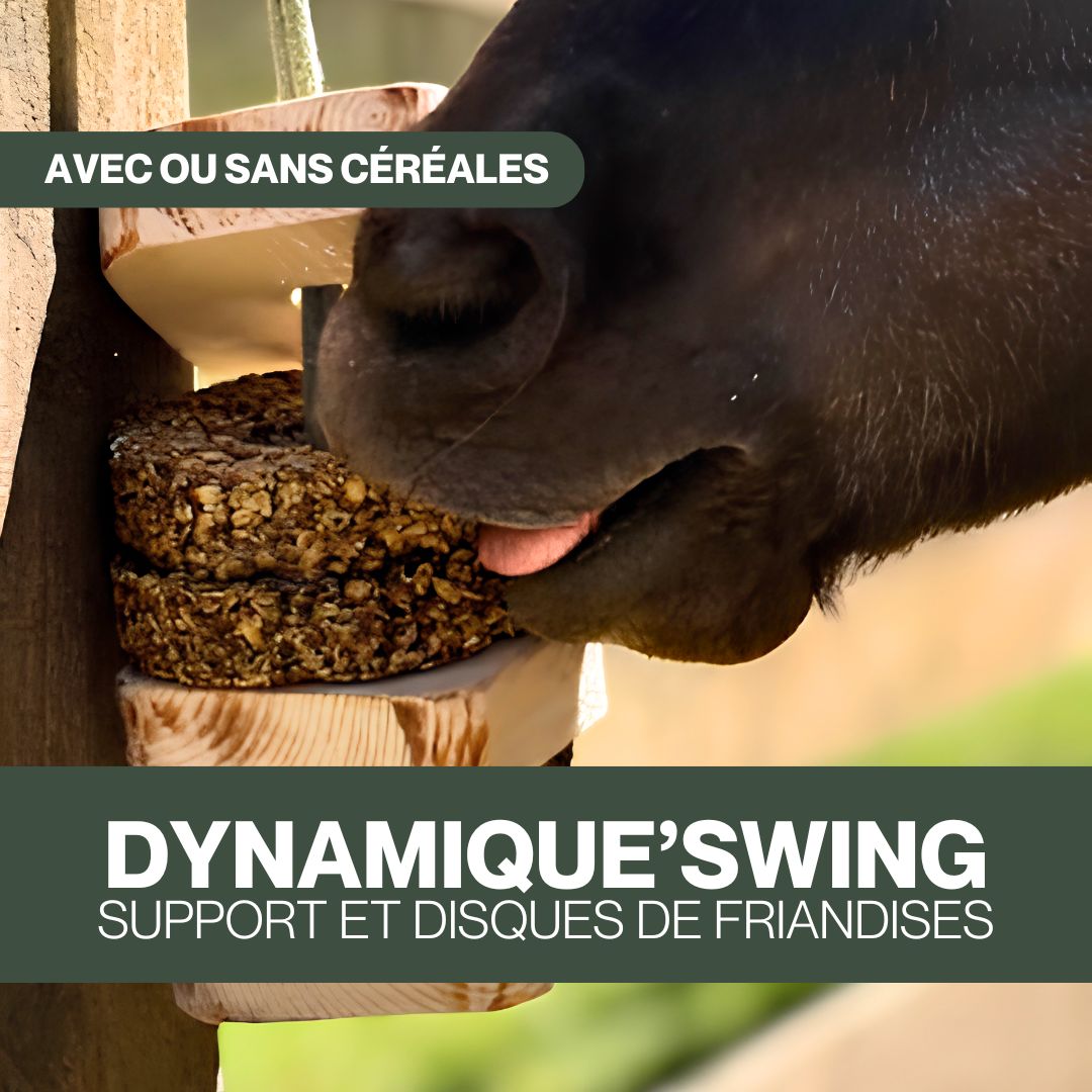 Dynamique Swing 🌿 Jouet d'enrichissement à suspendre