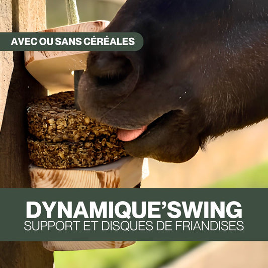 Dynamique Swing 🌿 Jouet d'enrichissement à suspendre