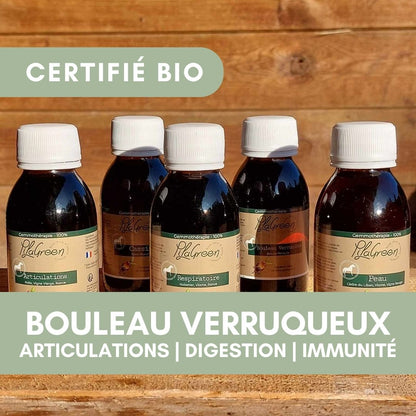 Bouleau Verruqueux | Gemmothérapie Cheval