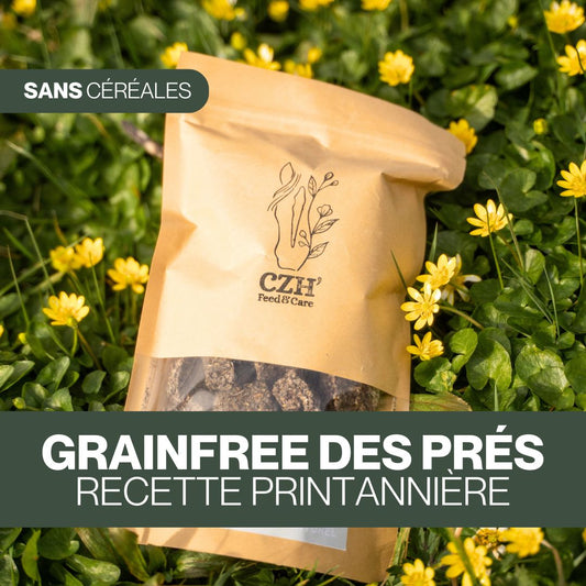 GrainFree Des Prés 🌼 Friandises naturelles pour chevaux 🌿 Recette printannière