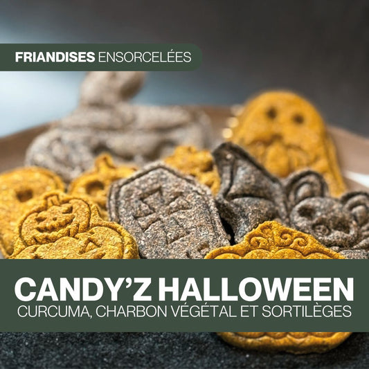 Candy'z Halloween
