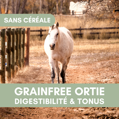GrainFree Ortie | Sans Céréales