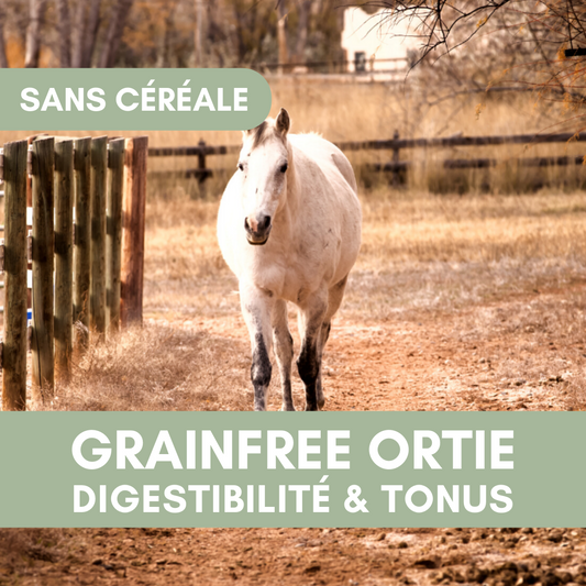 GrainFree Ortie | Locomotion et Tonus ⚡