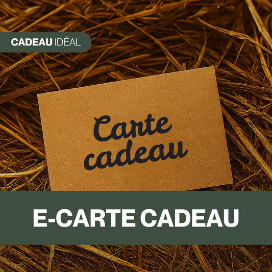 E-carte cadeau 🎁