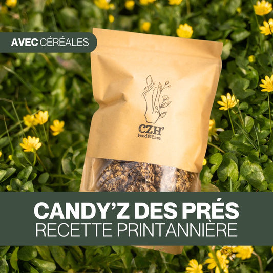 Candy'z Des Prés 🌼 Friandises naturelles pour chevaux 🌿 Recette printannière