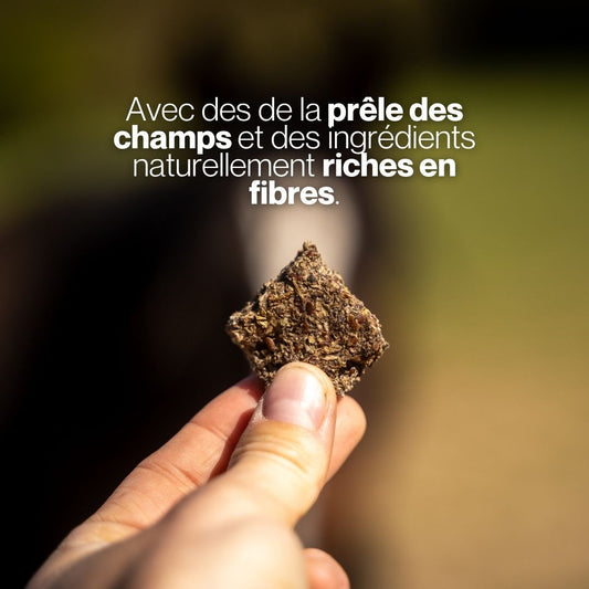 GrainFree Prêle | Mobilité 🐎