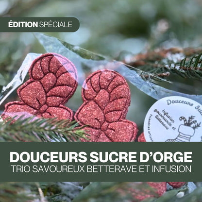 Douceurs Gourmandes Sucre d'Orge ❤ Friandises naturelles pour chevaux 🎄 Édition Spéciale Noël