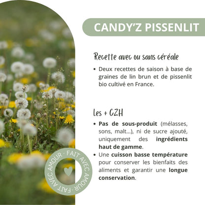 Candy'z Pissenlit 🌼 | Recette de saison