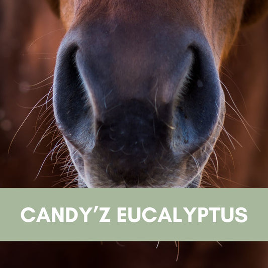 Candy'z Eucalyptus | Respiration 💨