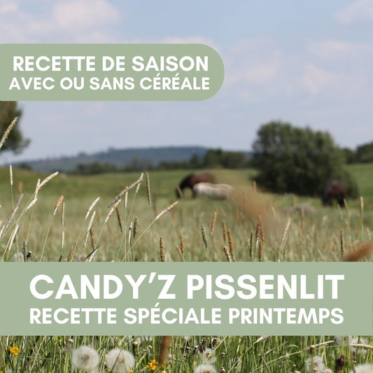 Candy'z Pissenlit 🌼 | Recette de saison