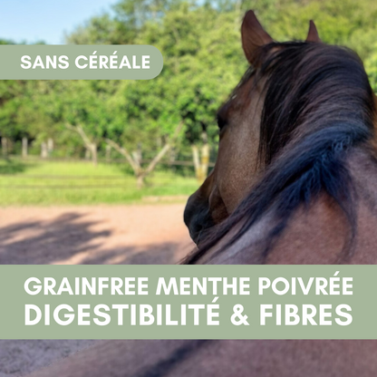 GrainFree Menthe Poivrée BIO | Sans Céréales