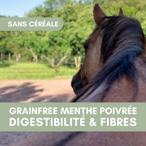 GrainFree Menthe Poivrée BIO | Sans Céréales