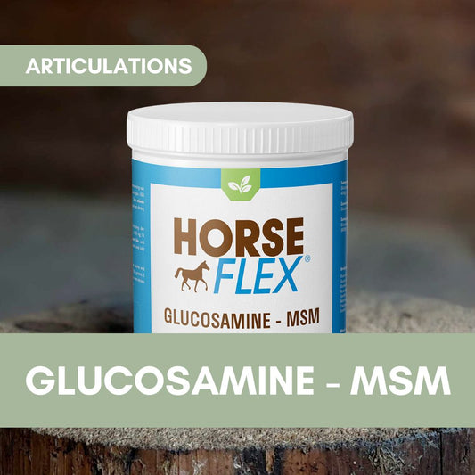 Glucosamine - MSM